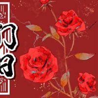 2022年5月11日,阿曼没关系?