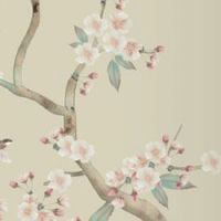 女人手相图解大全 富贵命 钱财纹多手掌厚解析