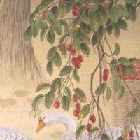 手机尾号1313风水 最富贵运气好数组号码