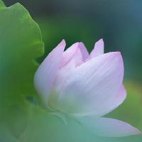 就像3大型身体的年龄一样,你可以接受你兄弟的新娘,愿意互相照顾