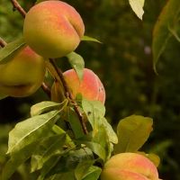 易昕,一周,黄岛,一个美好的夜晚(4.25-5.1)