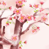 电话号码尾数什么数字最好 顺利旺运势手机号码