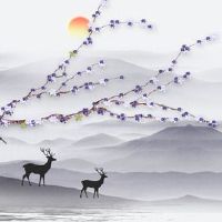 易经看手机号码:中国最吉利的数字5