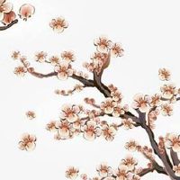 五行穿衣每日指南:2022年9月14日穿什么颜色旺运势