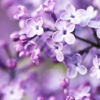 张新龙今天的黄道十二宫4月24日,2022年