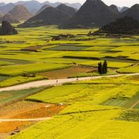 Di Tian Ju Shi很幸运(4.23-4.30)