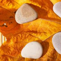 谁是情感事业?看看第12届黄道带商业排名