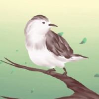 鸟的标志是什么?这是一个祝福。