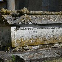 梦想着名单是foredog