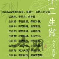 秦阳明日每日十二生活4月25日,2022年4月25日