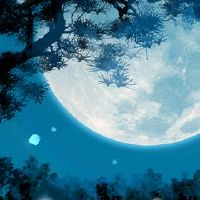 公司名称以着名的单词三字符霸气开头