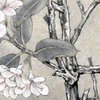 正面看不到耳朵的面相 一生富贵繁荣的面相