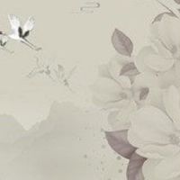 耳朵小的男人性格特点 耳朵形状与命运图解