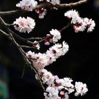 正印格女命有多厉害 家庭和睦有事业心