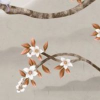 女人手纹路乱多代表什么 智慧线有数条横断线