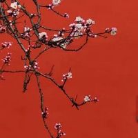 藏地支的正印有什么用 易遇贵人助力良多