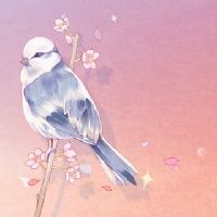 我暗示着鸟身意味着气田不是好运。