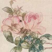 00龙女98虎男的婚姻怎么样 天生一对默契高