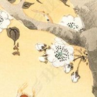 教你看十种短命面相 短命面相的特征分析