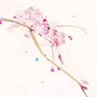 稀有 女生手掌有四条线 有福气的手相解析