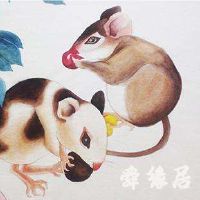 起一个好听的名字