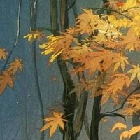 手机号777和999哪个好 增福旺运的手机号码