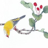 大运与夫妻宫相合 地支为用神和日元相合