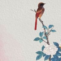 夫妻宫化权入夫妻宫 化权象征不同方面寓意