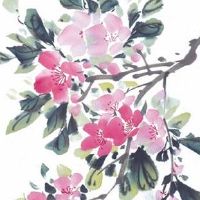 2022年紫微流年夫妻宫 流年夫妻宫廉贞天相