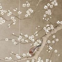 一看就是命好的女人面相特征 命带华盖属上等命