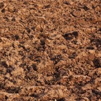 梦想黄尼意味着什么?