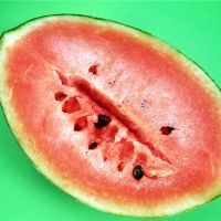 梦想西瓜种子是好是坏