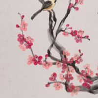 有财气的面相特征 耳大的人行事果断