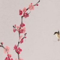 女人什么脸型是富贵命 国字脸做事稳重