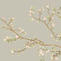 女人右手手相生命线图解大全 生命线成为链状