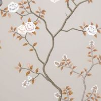 怎样看手相图解 女性 右手 生命线成大曲线