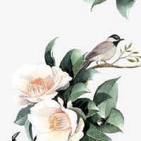 为什么手机尾号不能是0 好记吉祥的尾号数组