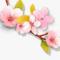 79年属羊手机号码怎么选 正财改运的手机靓号