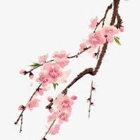 手机号码尾数3象征什么 吉祥添福的号码尾数