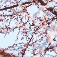 女命正印格能嫁有钱人 正印女与食神男最配