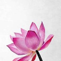 女人右手掌纹图解算命婚姻线 咋看女人右手的婚姻线