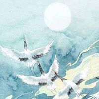 女人右手手相图解大全事业线 事业运势旺的手相特点