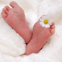 张姓属虎孩子起什么名字好 2022年阳光开朗的宝宝名字