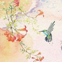 2022年夏至旺起止日 此节气天气特点介绍及风俗大盘点