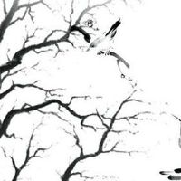 服饰品牌取什么名字比较好 服装店有档次名称