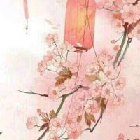 手机号码带4的好不好 开运有福气的靓号数组