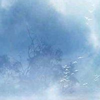 手机号码测吉凶最准确的 平安吉祥的手机数组