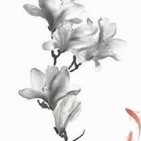 蔬菜品牌起名免费大全 大气旺财店面起名