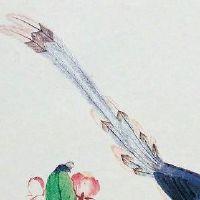 2022年新潮农村商店取名 好听洋气店铺名称