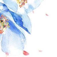 易经电话号码解析 555的最佳寓意